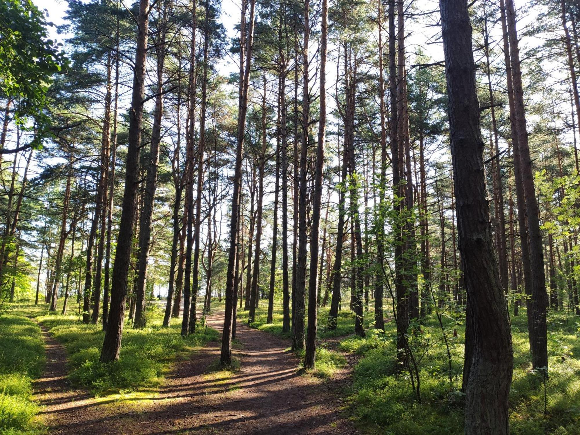 Flip-Flops Apartment Jurmala With Free Parking מראה חיצוני תמונה