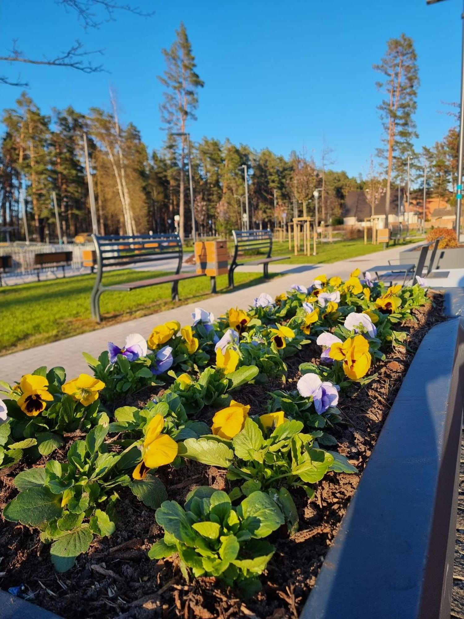 Flip-Flops Apartment Jurmala With Free Parking מראה חיצוני תמונה